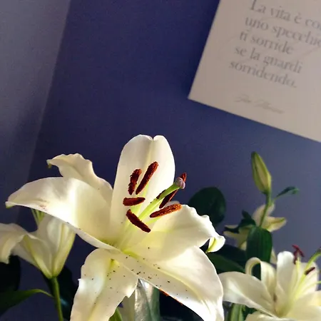 Solitude Hotel 2*