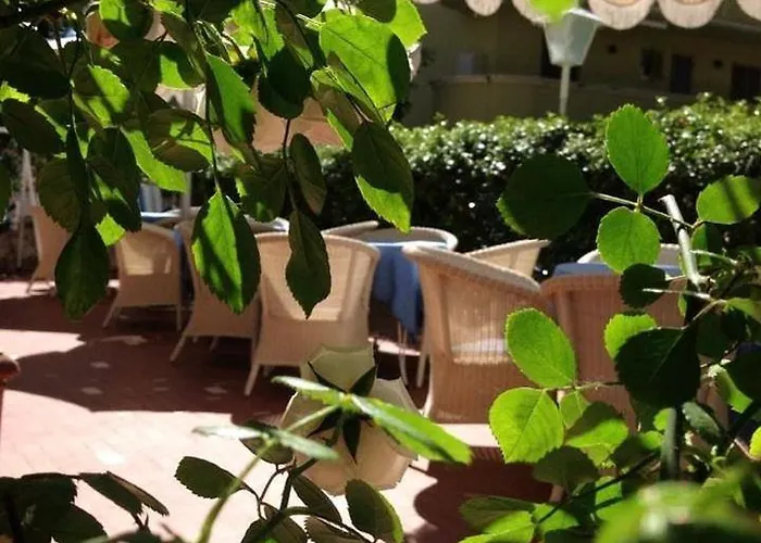 Solitude فندق 2*